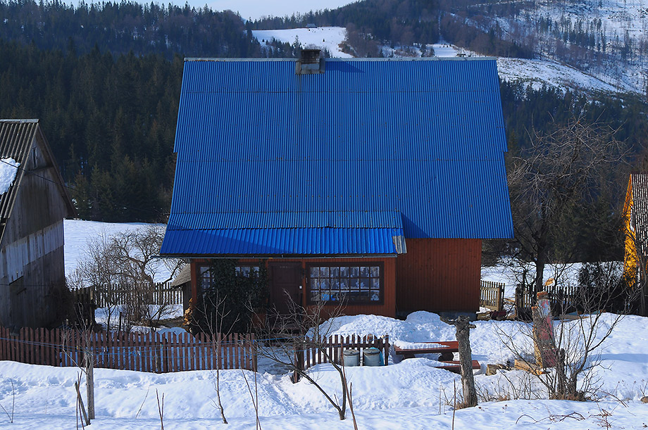 Na Hali Boraczej (Beskid Żywiecki)